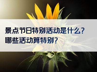 景点节日特别活动是什么？哪些活动算特别？