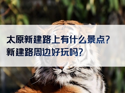 太原新建路上有什么景点？新建路周边好玩吗？