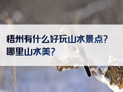 梧州有什么好玩山水景点？哪里山水美？