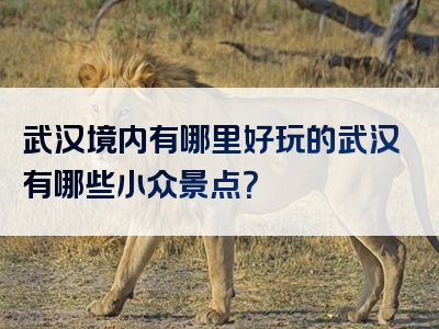 武汉境内有哪里好玩的武汉有哪些小众景点？