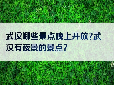 武汉哪些景点晚上开放？武汉有夜景的景点？