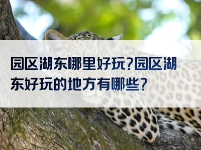园区湖东哪里好玩？园区湖东好玩的地方有哪些？