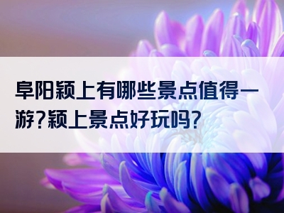 阜阳颖上有哪些景点值得一游？颖上景点好玩吗？