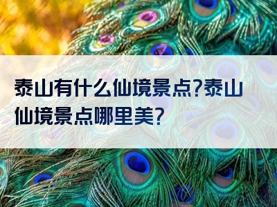 泰山有什么仙境景点？泰山仙境景点哪里美？