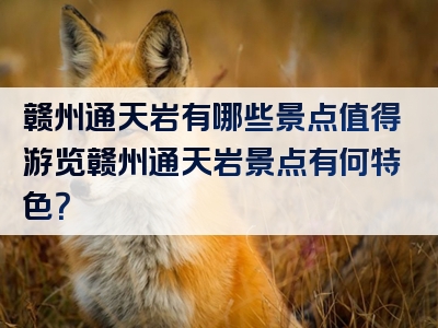 赣州通天岩有哪些景点值得游览赣州通天岩景点有何特色？
