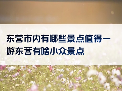 东营市内有哪些景点值得一游东营有啥小众景点