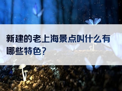 新建的老上海景点叫什么有哪些特色？