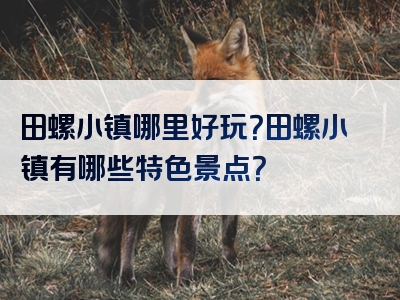 田螺小镇哪里好玩？田螺小镇有哪些特色景点？