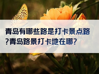 青岛有哪些路是打卡景点路？青岛路景打卡地在哪？