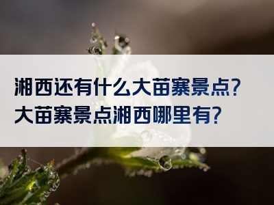 湘西还有什么大苗寨景点？大苗寨景点湘西哪里有？