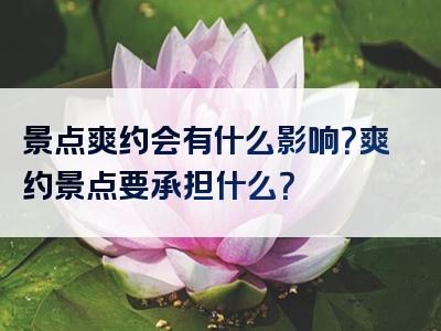景点爽约会有什么影响？爽约景点要承担什么？