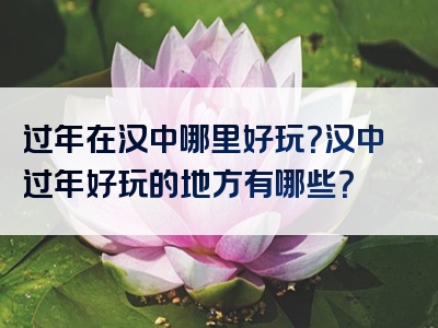 过年在汉中哪里好玩？汉中过年好玩的地方有哪些？
