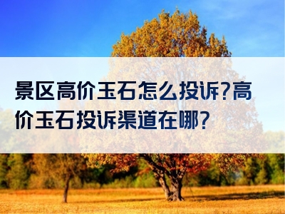 景区高价玉石怎么投诉？高价玉石投诉渠道在哪？