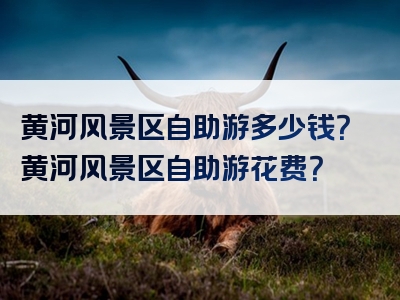 黄河风景区自助游多少钱？黄河风景区自助游花费？