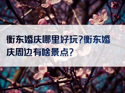 衡东婚庆哪里好玩？衡东婚庆周边有啥景点？