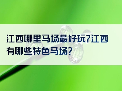江西哪里马场最好玩？江西有哪些特色马场？