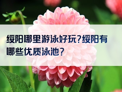 绥阳哪里游泳好玩？绥阳有哪些优质泳池？