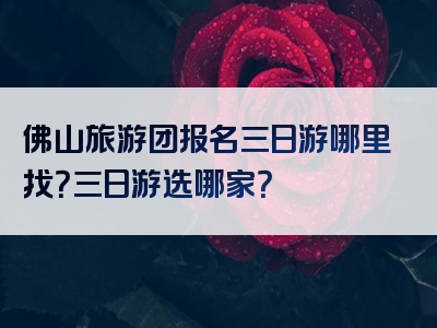佛山旅游团报名三日游哪里找？三日游选哪家？