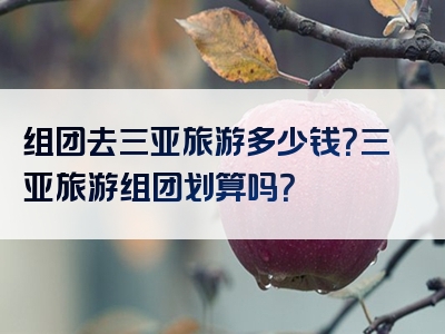 组团去三亚旅游多少钱？三亚旅游组团划算吗？
