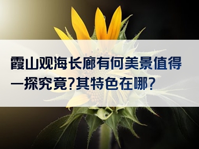 霞山观海长廊有何美景值得一探究竟？其特色在哪？