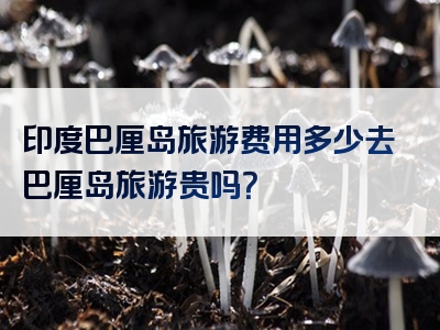 印度巴厘岛旅游费用多少去巴厘岛旅游贵吗？