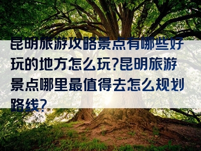 昆明旅游攻略景点有哪些好玩的地方怎么玩？昆明旅游景点哪里最值得去怎么规划路线？