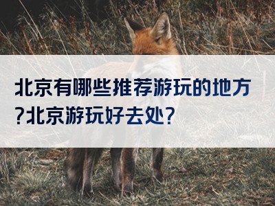 北京有哪些推荐游玩的地方？北京游玩好去处？