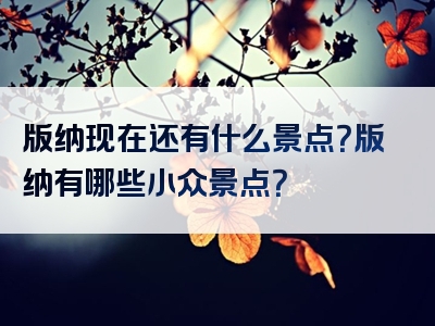 版纳现在还有什么景点？版纳有哪些小众景点？