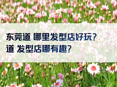 东莞道滘哪里发型店好玩？道滘发型店哪有趣？