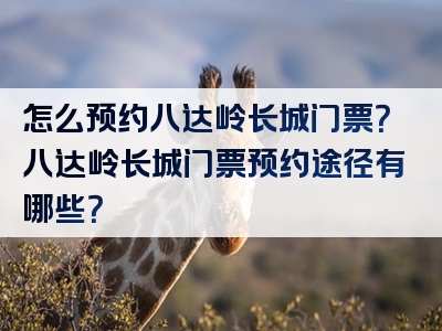 怎么预约八达岭长城门票？八达岭长城门票预约途径有哪些？