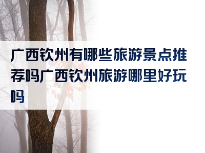 广西钦州有哪些旅游景点推荐吗广西钦州旅游哪里好玩吗