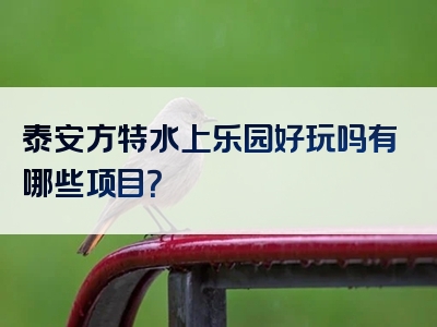 泰安方特水上乐园好玩吗有哪些项目？