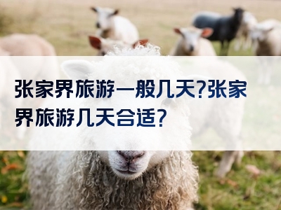 张家界旅游一般几天？张家界旅游几天合适？
