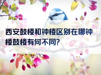 西安鼓楼和钟楼区别在哪钟楼鼓楼有何不同？