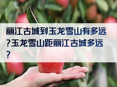 丽江古城到玉龙雪山有多远？玉龙雪山距丽江古城多远？