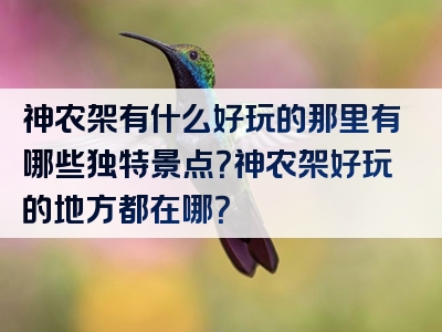神农架有什么好玩的那里有哪些独特景点？神农架好玩的地方都在哪？