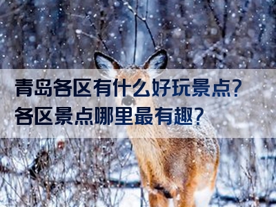 青岛各区有什么好玩景点？各区景点哪里最有趣？