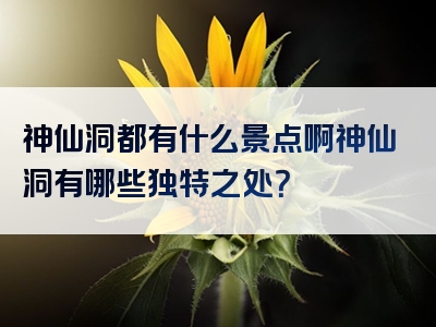 神仙洞都有什么景点啊神仙洞有哪些独特之处？