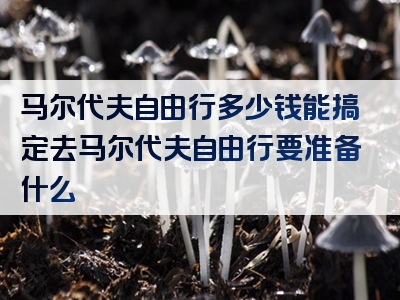 马尔代夫自由行多少钱能搞定去马尔代夫自由行要准备什么