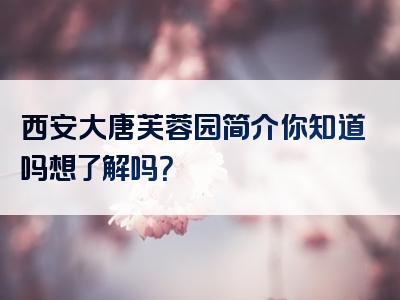 西安大唐芙蓉园简介你知道吗想了解吗？