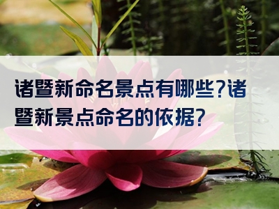 诸暨新命名景点有哪些？诸暨新景点命名的依据？