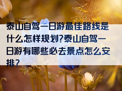 泰山自驾一日游最佳路线是什么怎样规划？泰山自驾一日游有哪些必去景点怎么安排？