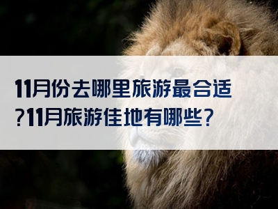 11月份去哪里旅游最合适？11月旅游佳地有哪些？