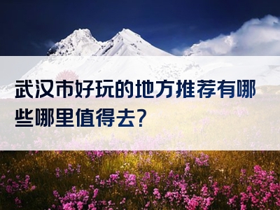 武汉市好玩的地方推荐有哪些哪里值得去？