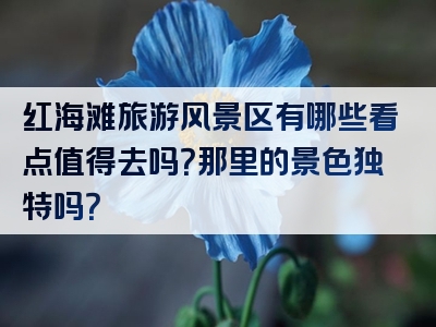 红海滩旅游风景区有哪些看点值得去吗？那里的景色独特吗？