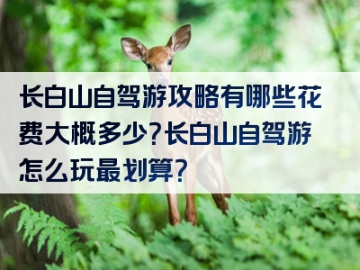 长白山自驾游攻略有哪些花费大概多少？长白山自驾游怎么玩最划算？