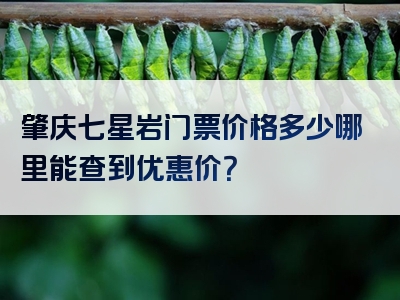 肇庆七星岩门票价格多少哪里能查到优惠价？