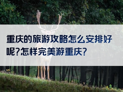 重庆的旅游攻略怎么安排好呢？怎样完美游重庆？