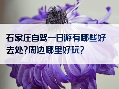 石家庄自驾一日游有哪些好去处？周边哪里好玩？