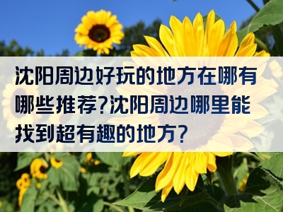 沈阳周边好玩的地方在哪有哪些推荐？沈阳周边哪里能找到超有趣的地方？